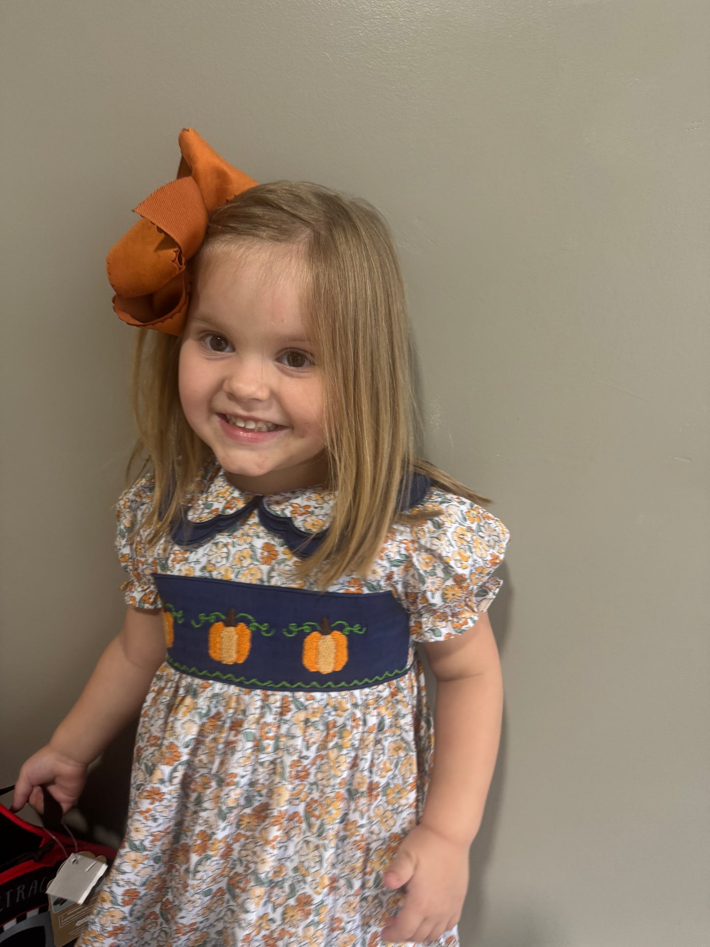 Girls Hand Smocked Fall Dress