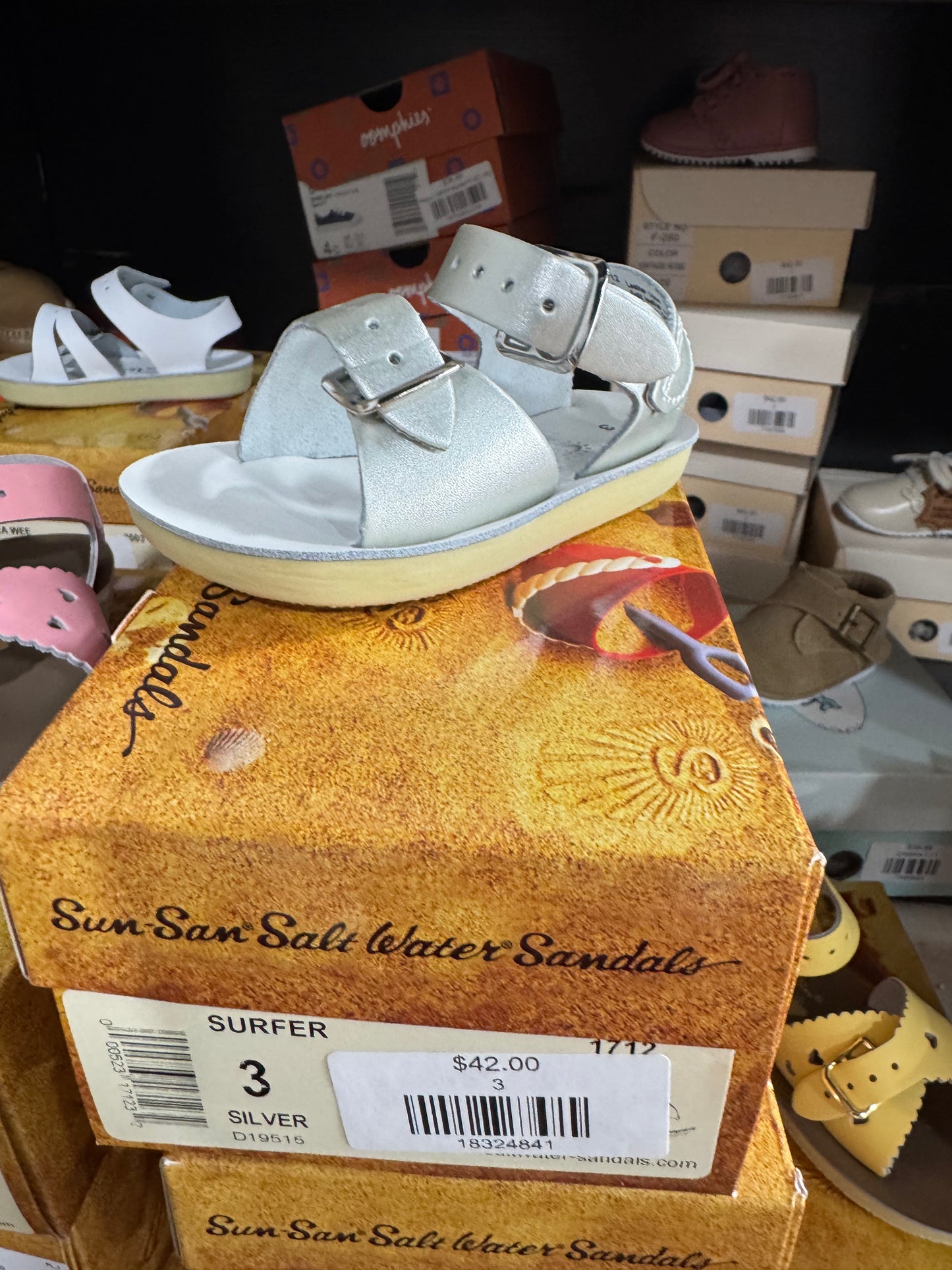 Silver Sun Sans Surfer
