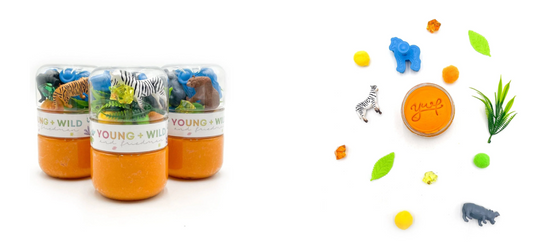 Grab & Go Dough Jar - Zoo